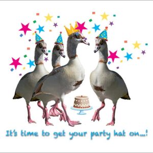 Ducks With Party Hats and Text: It's Time to Get Your Party Hat On!