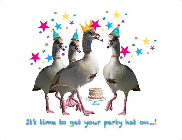 Ducks With Party Hats and Text: It's Time to Get Your Party Hat On!